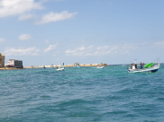  فيديو: انطلاق قافلة زوارق الصيادين "البحر رزقنا وموروثنا 3" من ميناء يافا